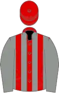Red and grey stripes, grey sleeves, red cap