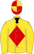 Yellow, red diamond, red and yellow quartered cap