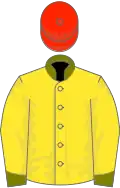 Yellow, Olive Green collar and cuffs, Scarlet cap