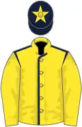Yellow, dark blue seams, yellow sleeves, dark blue cap, yellow star