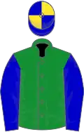 Green, blue sleeves, blue and yellow quartered cap