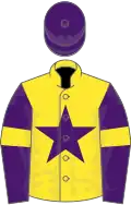 Yellow, purple star, purple sleeves, yellow armlets, purple cap