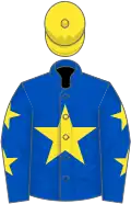 Royal blue, yellow star, royal blue sleeves, yellow stars, yellow cap