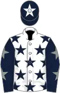 White, dark blue stars, dark blue sleeves, grey stars, dark blue cap, white star