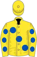 Yellow, large royal blue spots, spots on sleeves