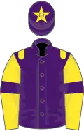 Purple, yellow epaulets, yellow sleeves, purple armlets, purple cap, yellow star