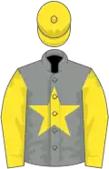 Grey, yellow star, sleeves and cap