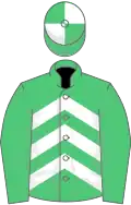 EMERALD GREEN and WHITE CHEVRONS, emerald green sleeves, quartered cap