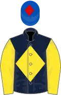 Dark blue, yellow diamond and sleeves, royal blue cap, red diamond