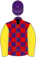 Purple and Red check, Yellow sleeves, Purple cap