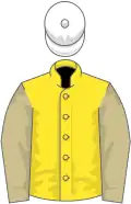 Yellow, beige sleeves, white cap