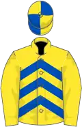 Yellow and royal blue chevrons, yellow sleeves, quartered cap