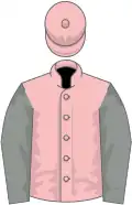 Pink, grey sleeves