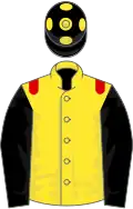 Yellow, red epaulettes, black sleeves, black cap, yellow spots
