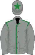 Grey, green seams on body, star on cap