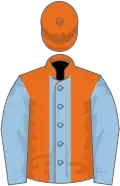Orange, light blue stripe and sleeves
