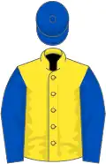 Yellow, royal blue sleeves and cap