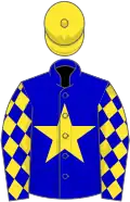 Blue, yellow star, diamonds on sleeves, yellow cap