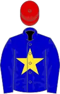 Blue, yellow star, red cap