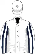 WHITE, DARK BLUE striped sleeves