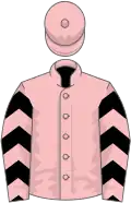 Pink, black chevrons on sleeves