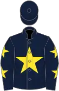 Dark blue, yellow star, dark blue sleeves, yellow stars