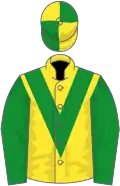 Yellow, green chevron and sleeves, quartered cap