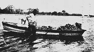 Rare photograph of an oyster dredging boat, used in Australian estuaries (Ballina, NSW, 1926)
