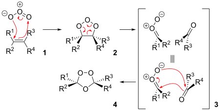 The reaction mechanism of ozonolysis.