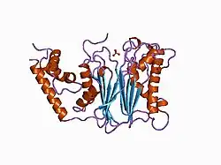 1a6q: CRYSTAL STRUCTURE OF THE PROTEIN SERINE/THREONINE PHOSPHATASE 2C AT 2 A RESOLUTION