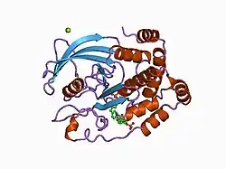 1aax: CRYSTAL STRUCTURE OF PROTEIN TYROSINE PHOSPHATASE 1B COMPLEXED WITH TWO BIS(PARA-PHOSPHOPHENYL)METHANE (BPPM) MOLECULES