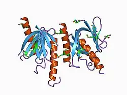 1aqc: X11 PTB DOMAIN-10MER PEPTIDE COMPLEX