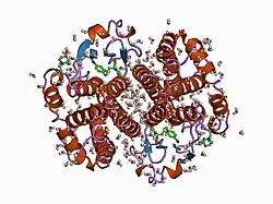 1aqv: GLUTATHIONE S-TRANSFERASE IN COMPLEX WITH P-BROMOBENZYLGLUTATHIONE