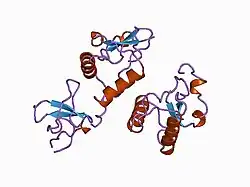 1avz: V-1 NEF PROTEIN IN COMPLEX WITH WILD TYPE FYN SH3 DOMAIN