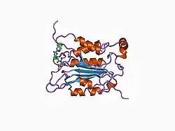 1bmq: CRYSTAL STRUCTURE OF THE COMPLEX OF INTERLEUKIN-1BETA CONVERTING ENZYME (ICE) WITH A PEPTIDE BASED INHIBITOR, (3S )-N-METHANESULFONYL-3-({1-[N-(2-NAPHTOYL)-L-VALYL]-L-PROLYL }AMINO)-4-OXOBUTANAMIDE
