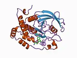 1bzh: CYCLIC PEPTIDE INHIBITOR OF HUMAN PTP1B