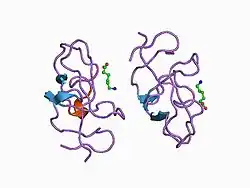 1cea: THE STRUCTURE OF THE NON-COVALENT COMPLEX OF RECOMBINANT KRINGLE 1 DOMAIN OF HUMAN PLASMINOGEN WITH EACA (EPSILON-AMINOCAPROIC ACID)