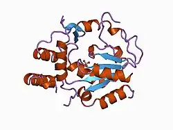 1cjm: HUMAN SULT1A3 WITH SULFATE BOUND