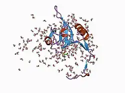 1cs8: CRYSTAL STRUCTURE OF PROCATHEPSIN L