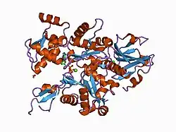 1d4x: Crystal Structure of Caenorhabditis Elegans Mg-ATP Actin Complexed with Human Gelsolin Segment 1 at 1.75 A resolution.
