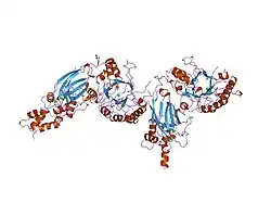 1dji: PHOSPHOINOSITIDE-SPECIFIC PHOSPHOLIPASE C-DELTA1 FROM RAT COMPLEXED WITH CALCIUM