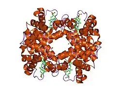 1dxu: HIGH-RESOLUTION X-RAY STUDY OF DEOXY RECOMBINANT HUMAN HEMOGLOBINS SYNTHESIZED FROM BETA-GLOBINS HAVING MUTATED AMINO TERMINI
