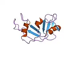 1e21: RIBONUCLEASE 1 DES1-7 CRYSTAL STRUCTURE AT 1.9A