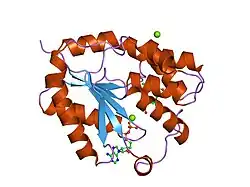 1e98: WILD TYPE HUMAN THYMIDYLATE KINASE COMPLEXED WITH AZTMP AND ADP