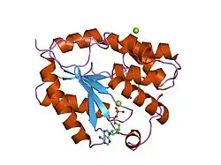 1e9d: MUTANT HUMAN THYMIDYLATE KINASE (F105Y) COMPLEXED WITH AZTMP AND ADP