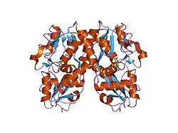 1ftl: CRYSTAL STRUCTURE OF THE GLUR2 LIGAND BINDING CORE (S1S2J) IN COMPLEX WITH THE ANTAGONIST DNQX AT 1.8 A RESOLUTION