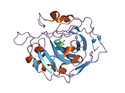1g48: CARBONIC ANHYDRASE II (F131V) COMPLEXED WITH 4-(AMINOSULFONYL)-N-[(2,6-DIFLUOROPHENYL)METHYL]-BENZAMIDE