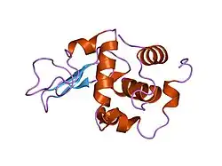 1gb6: CRYSTAL STRUCTURE OF MUTANT HUMAN LYSOZYME SUBSTITUTED AT THE SURFACE POSITIONS