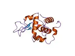 1ge4: CRYSTAL STRUCTURE OF MUTANT HUMAN LYSOZYME SUBSTITUTED AT LEFT-HANDED HELICAL POSITIONS
