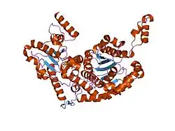 1gzv: THE CRYSTAL STRUCTURE OF PHOSPHOGLUCOSE ISOMERASE FROM PIG MUSCLE COMPLEXED WITH 5-PHOSPHOARABINONATE